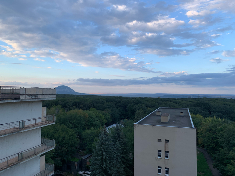 Фото Лесная поляна