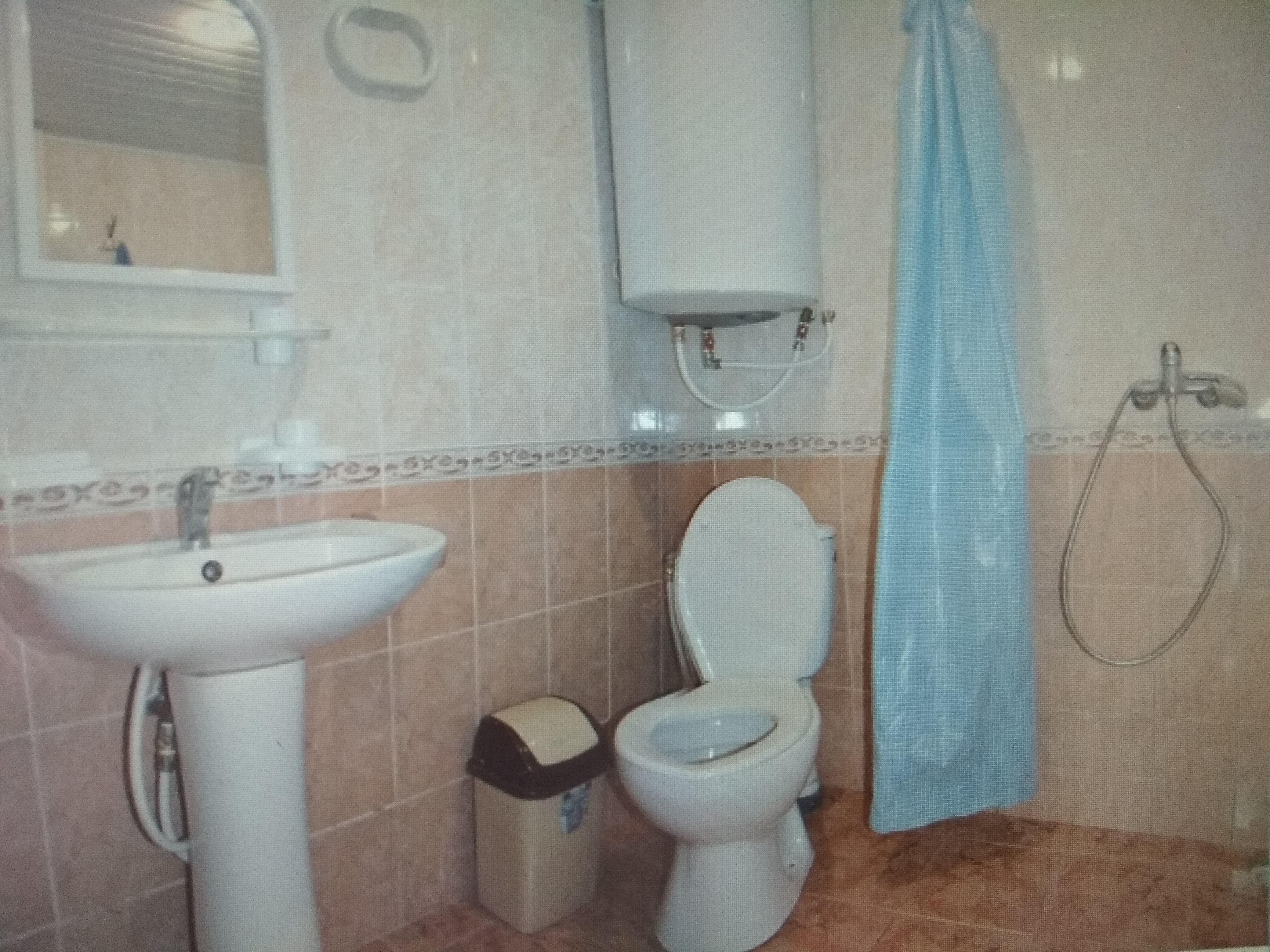 Фото Экзотик