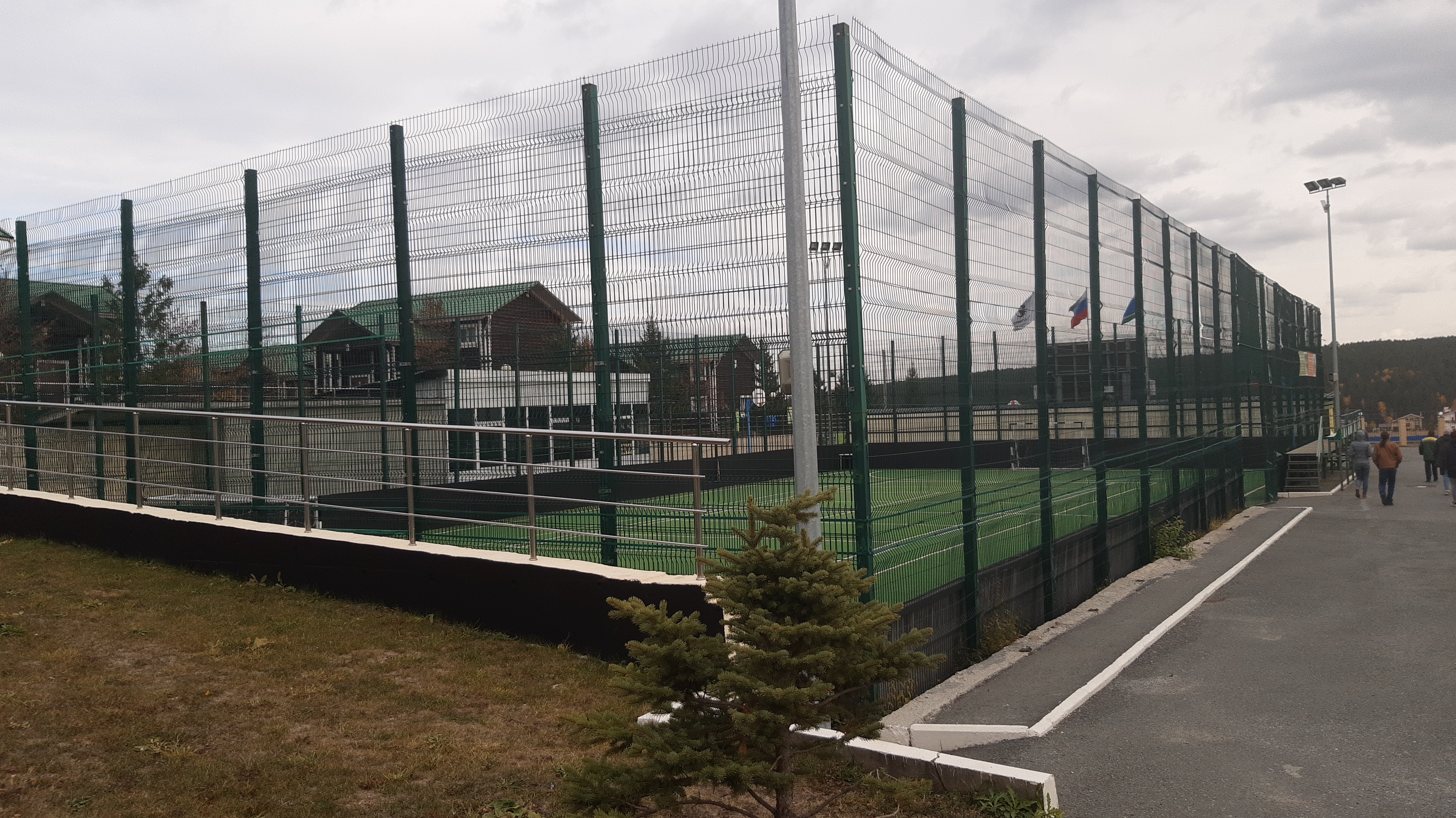 Фото Белая лошадь