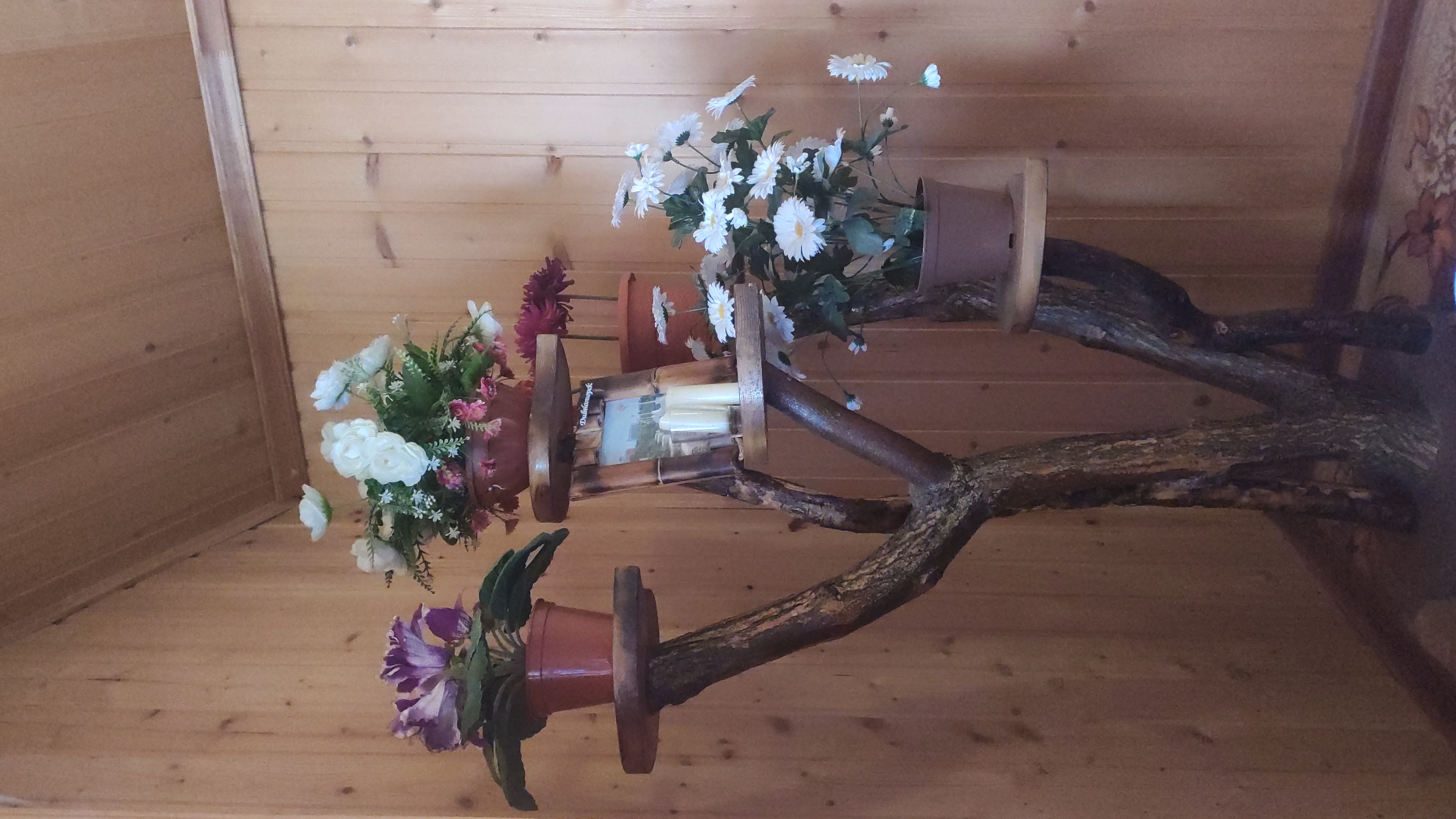 Фото Татьянин день