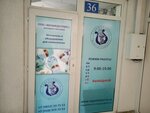 Вегамедсервис (Svobody Street, 71А) ، مواد ومعدات طب الأسنان