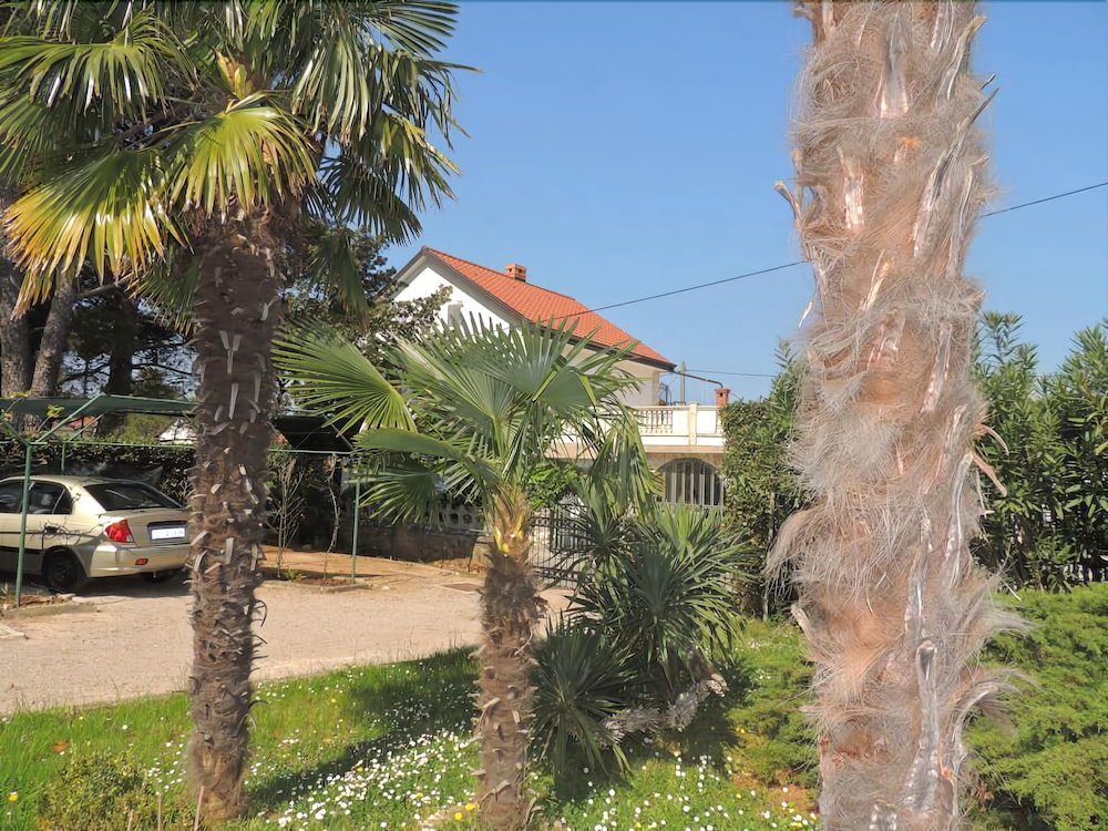 Фото Apartments Bogović