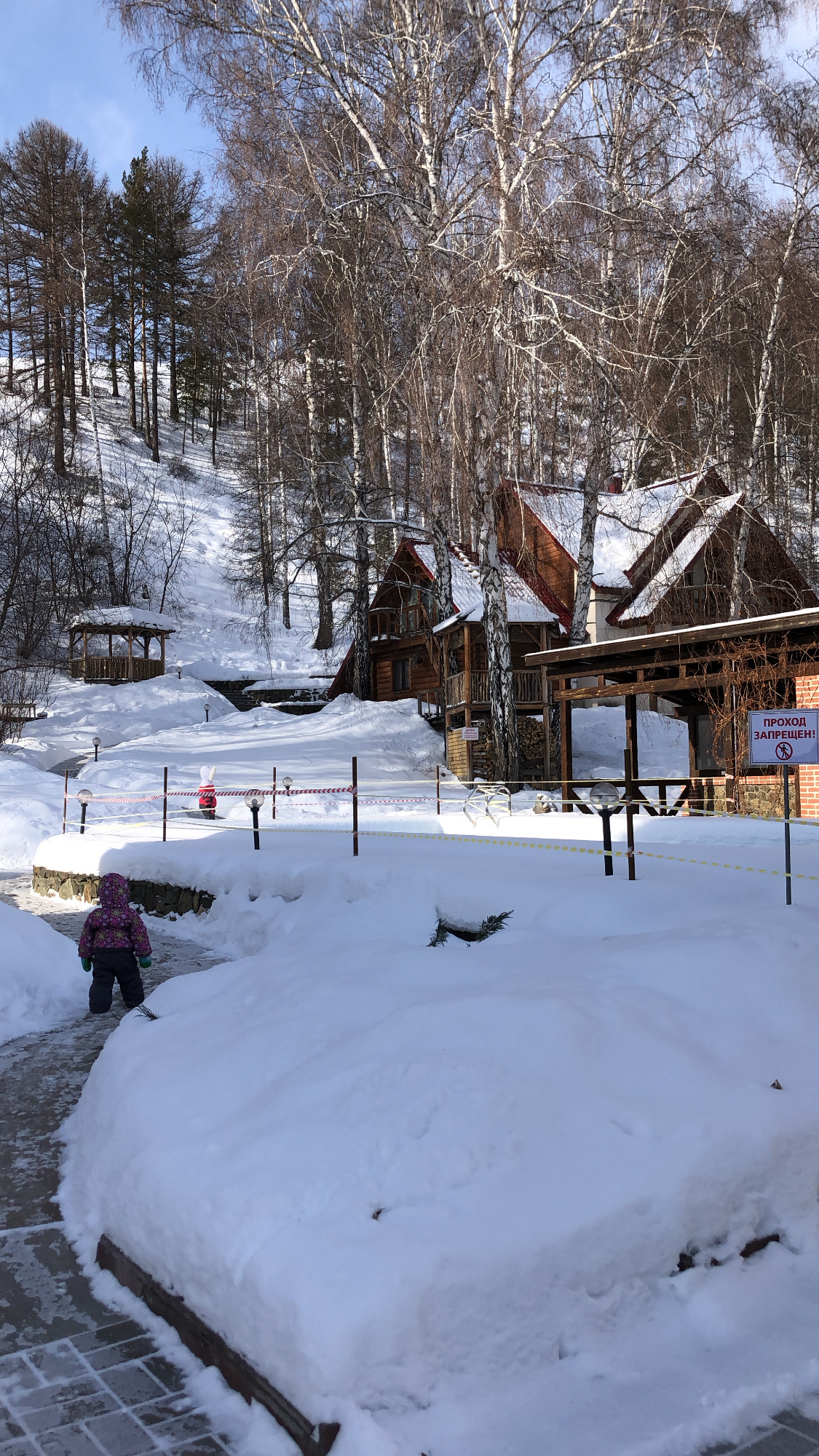 Фото Каменный цветок