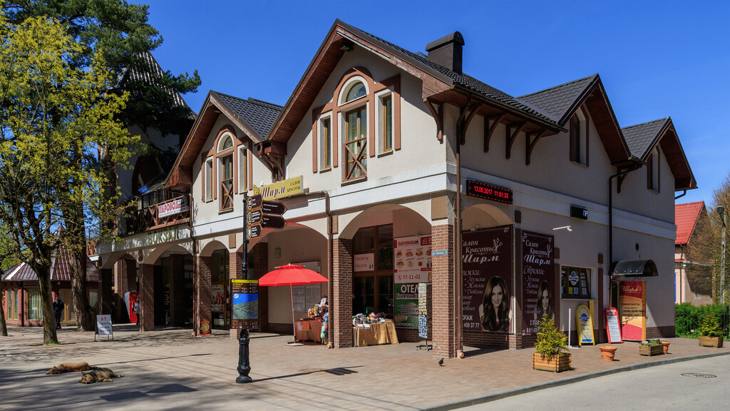 Светлогорск жд вокзал