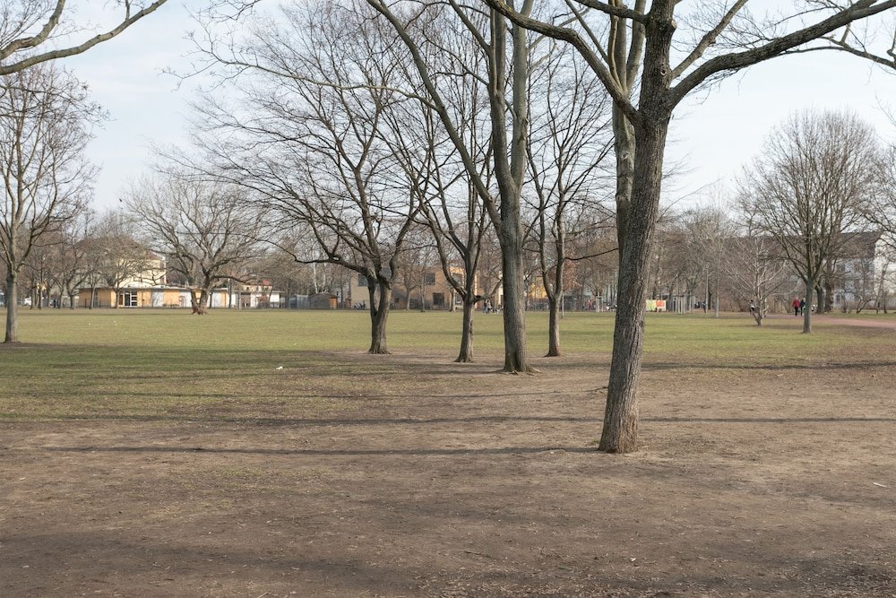 Фото Primeflats - Apartment Bischof Neustadt