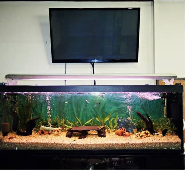 Фото Hotel Altiana