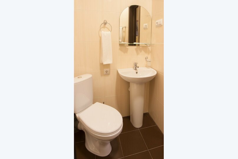 Фото Медуза