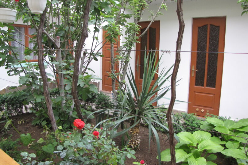 Фото У Чижика