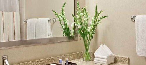 Гостиница Hyatt Regency O'Hare Chicago в Скоки