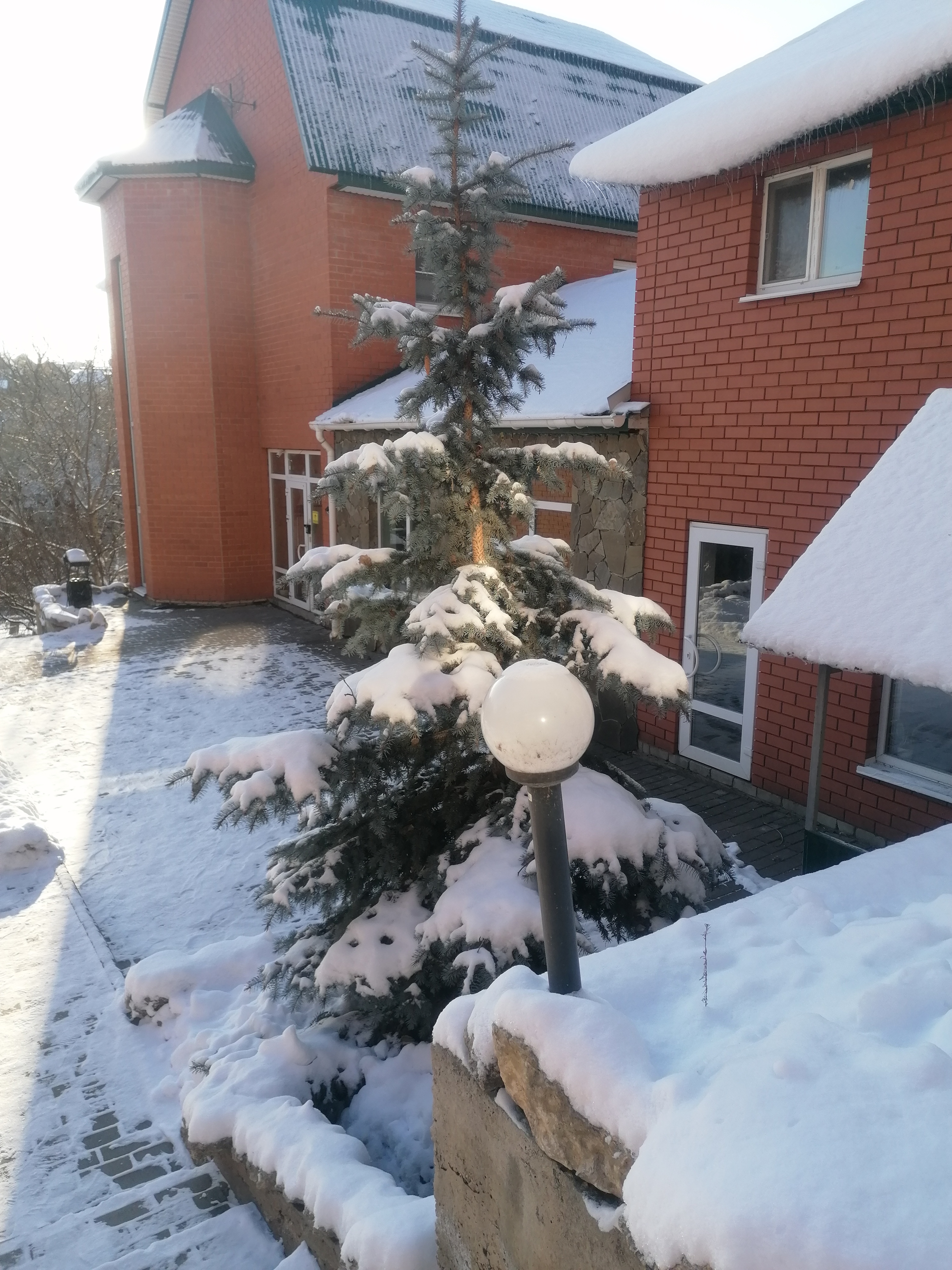 Фото Липовская