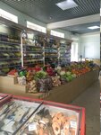 Магазин по продаже овощей, фруктов и сухофруктов (Lenina Avenue, 131В), frutería