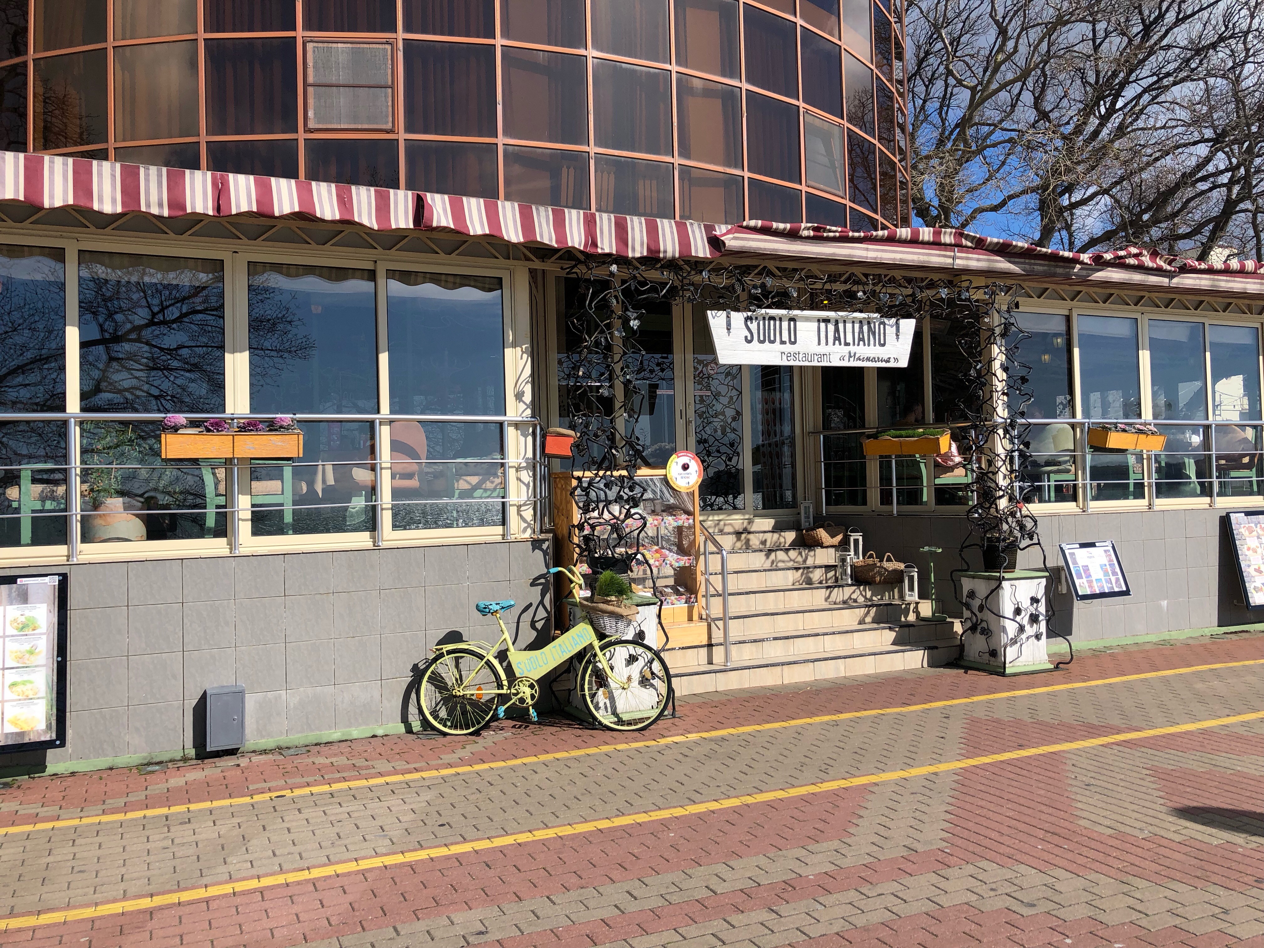 Фото Магнолия