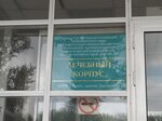 КГБУЗ Ккцомд № 2, лечебный корпус (prospekt Lapenkova, 17), departamento del hospital