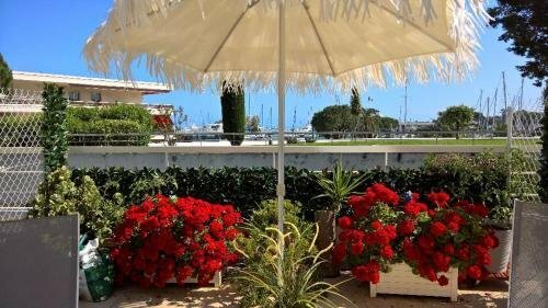 Жильё посуточно Lovely Apartment in Marina Baie Des Anges- Baronnet - Sew View, Free Parking Spaces on Site, Restaurants, Beach, Supermarket в Вильнёв-Лубе