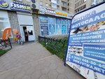 Fotika (Novosibirskaya Street, 34) ، التصوير الفوتوغرافي
