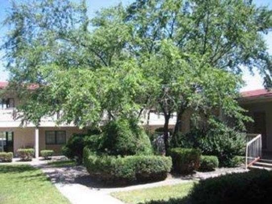 Фото Rodeway Inn