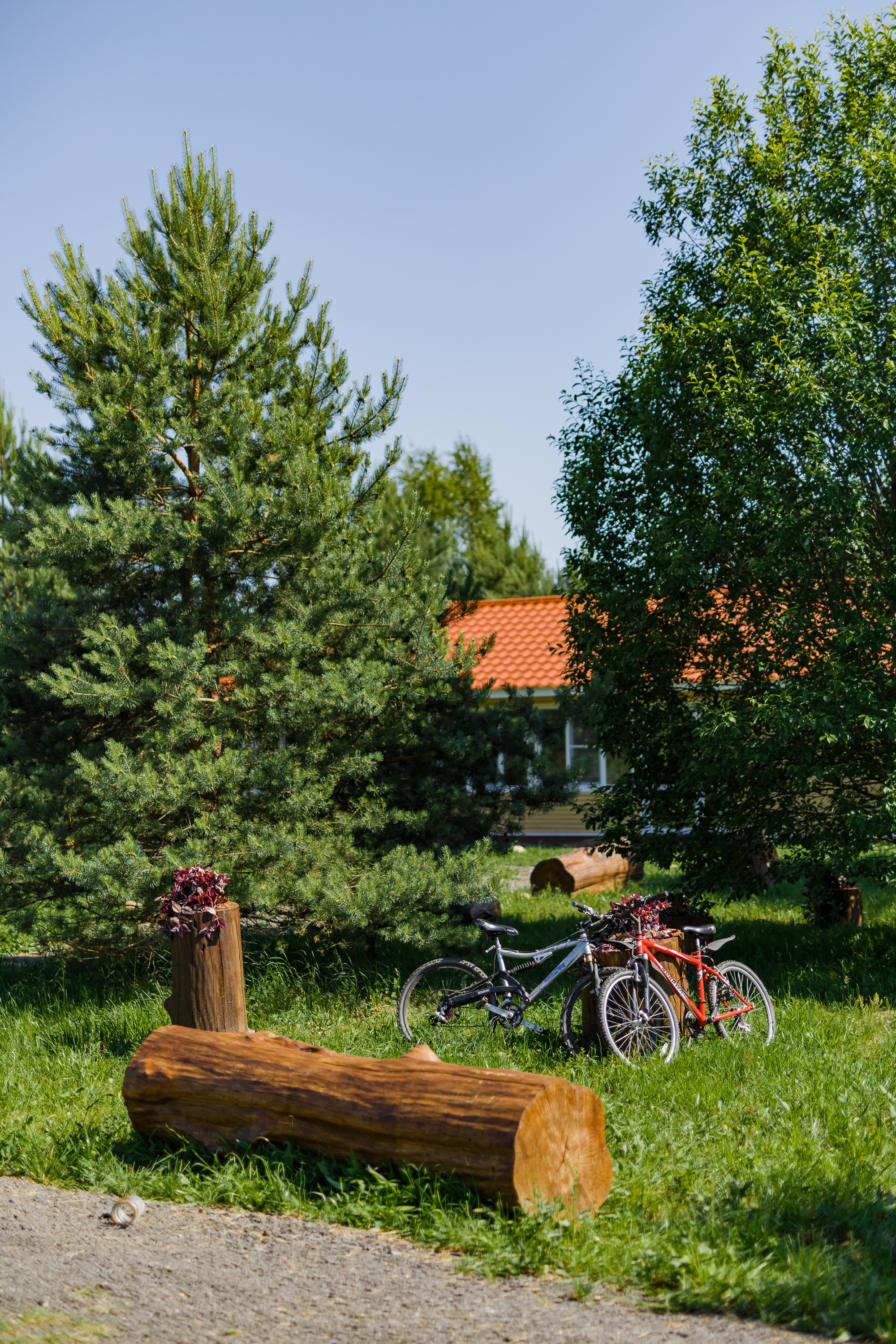 Фото Деревенька в лесу