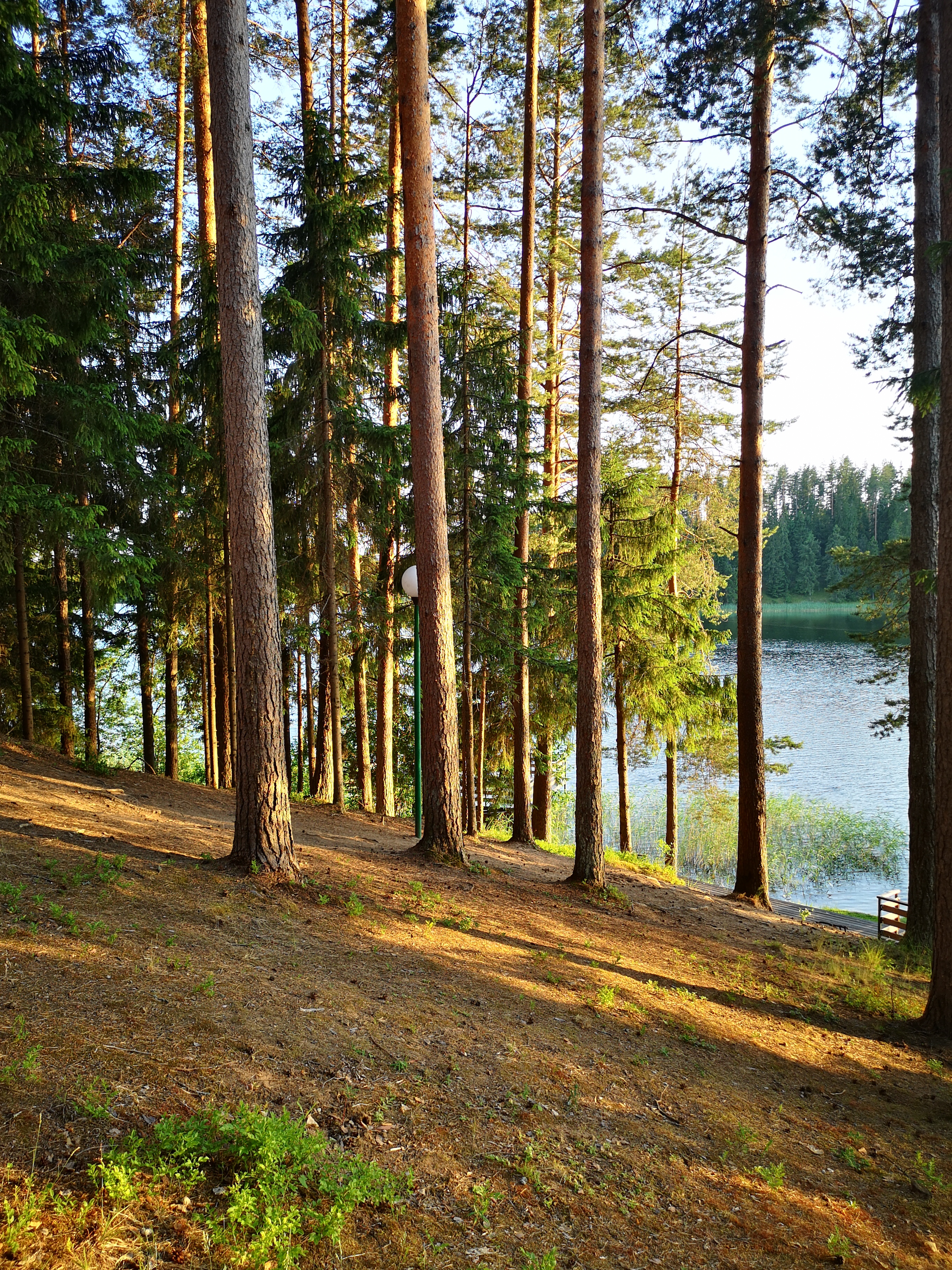 Фото Берендеево царство