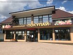 Магазин Покупай (село Первомайское, улица Ленина, 61Б), grocery