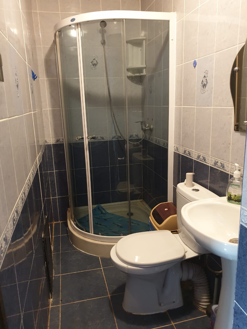 Фото Ласточкино гнездо