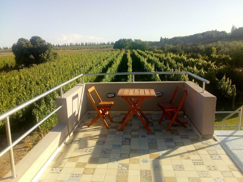 Гостиница Posada Cavieres Wine Farm