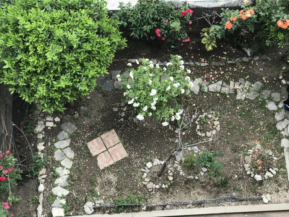 Фото Tortosa Blue