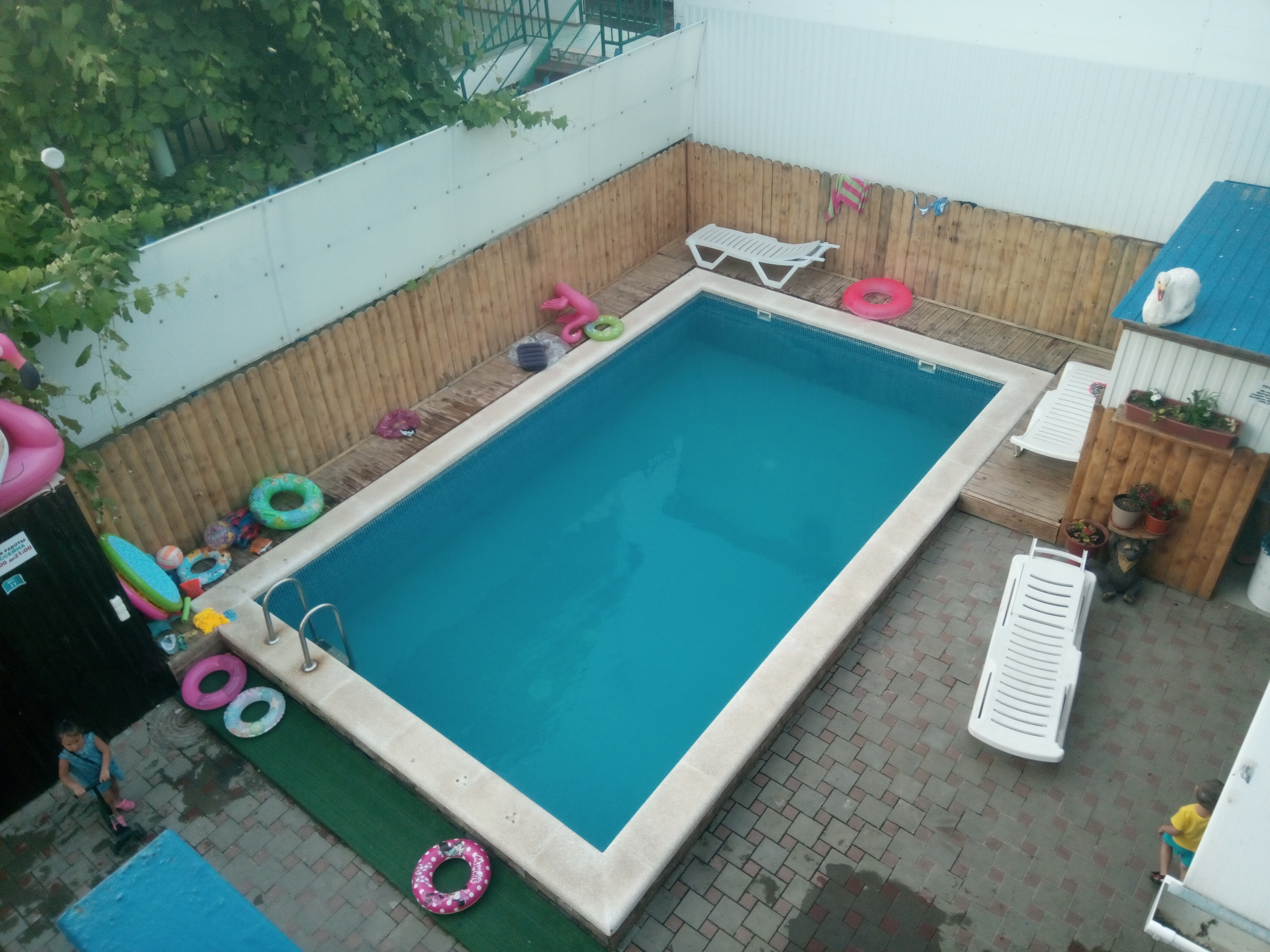 Фото Элегант