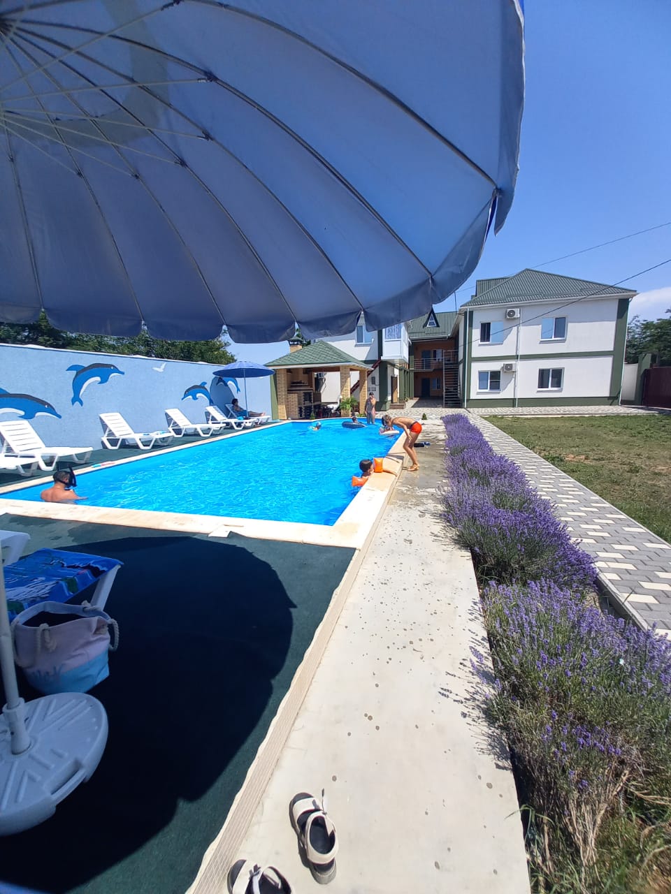 Фото Семицветик