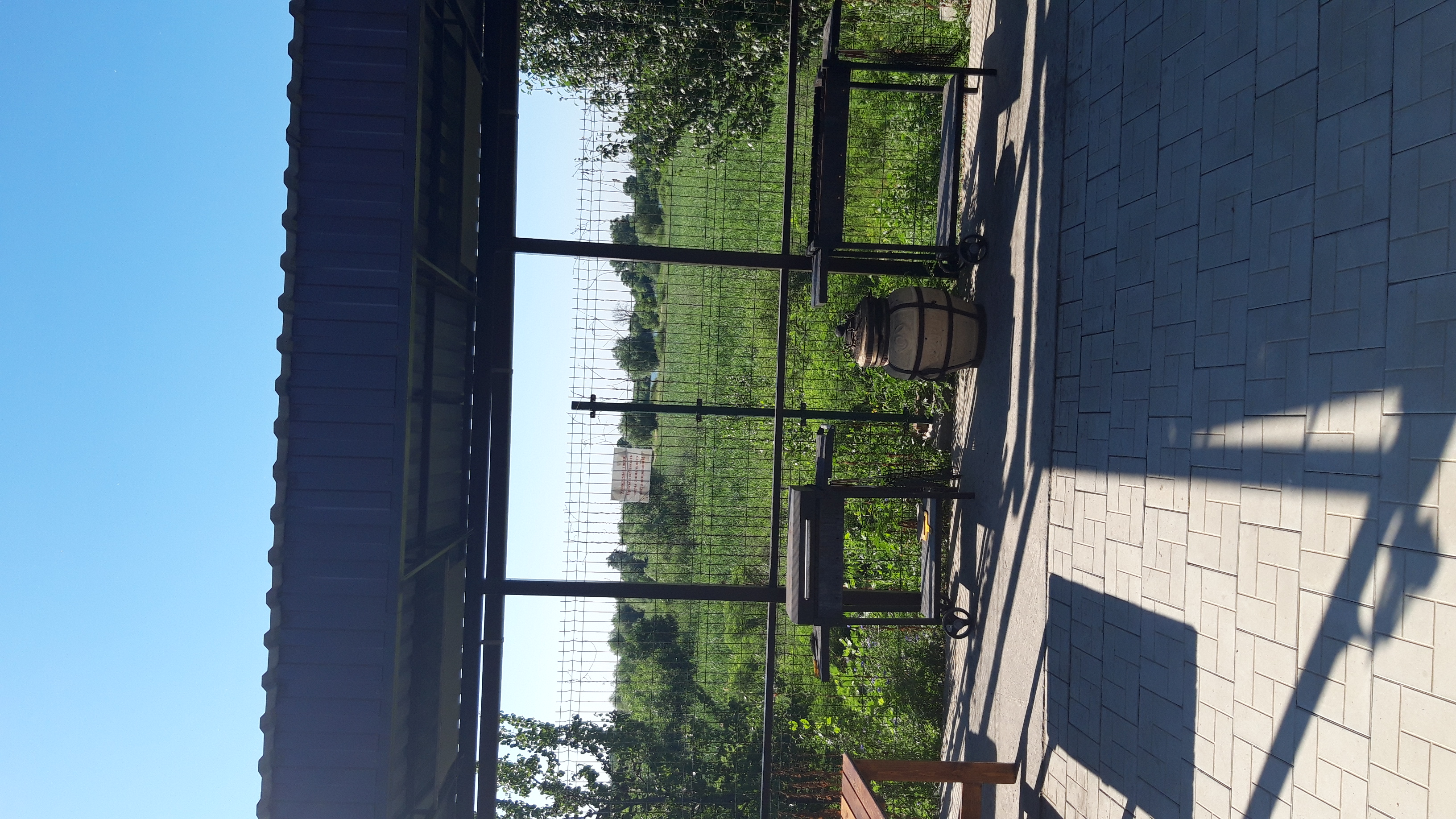 Фото Ковчег