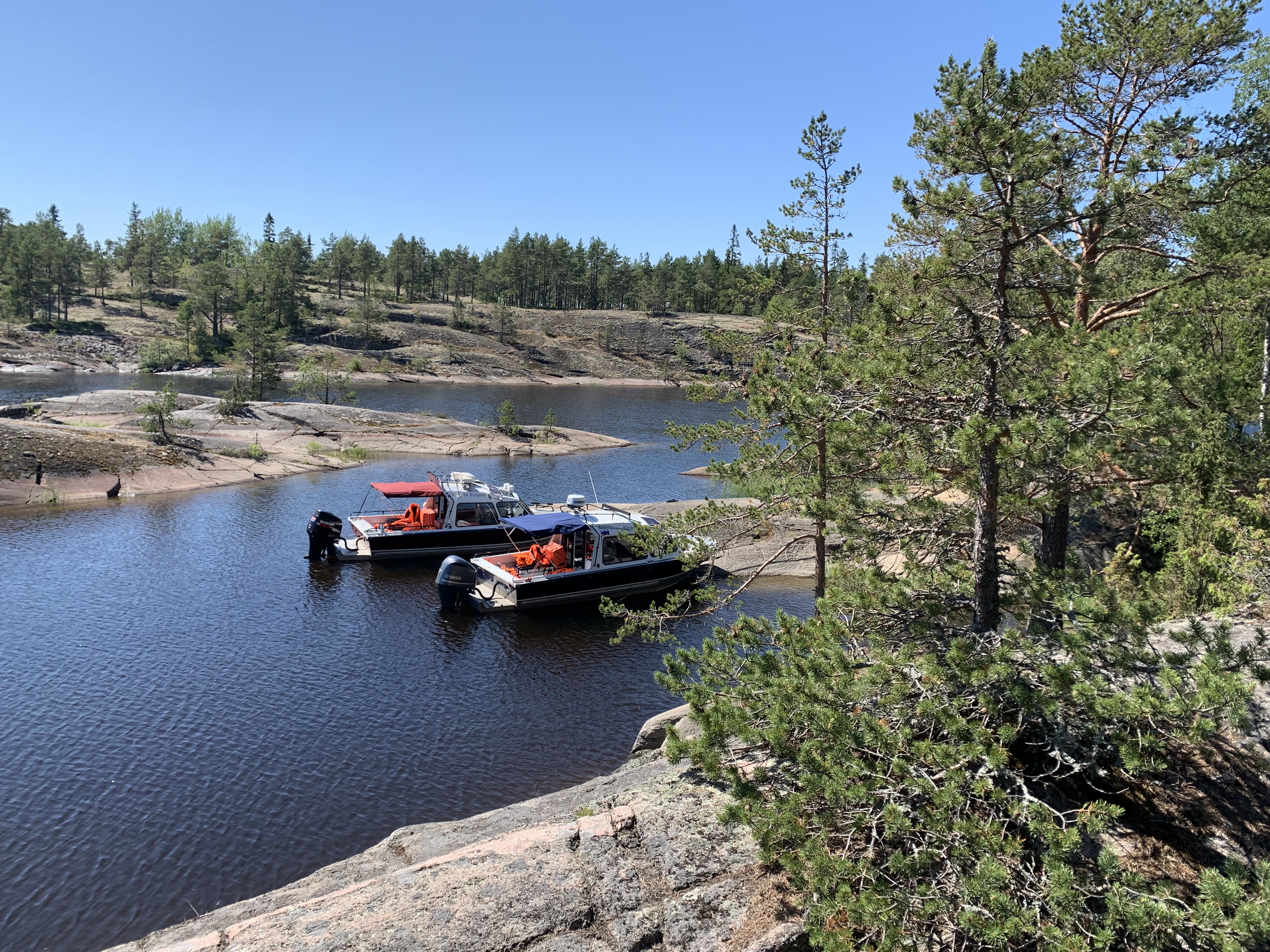 Фото Пийпун Пиха
