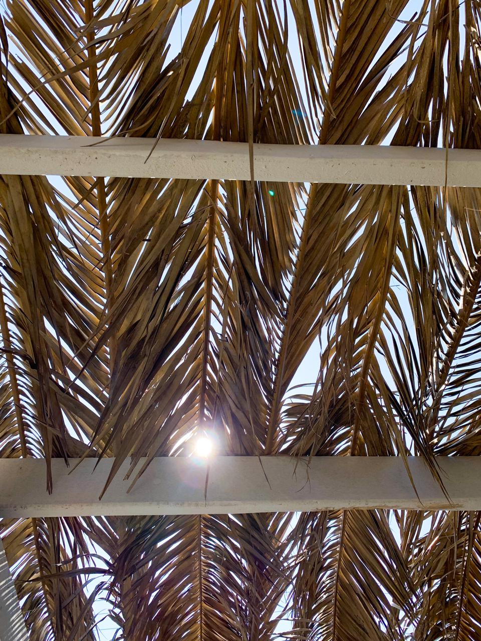 Фото Блага Дель Мар