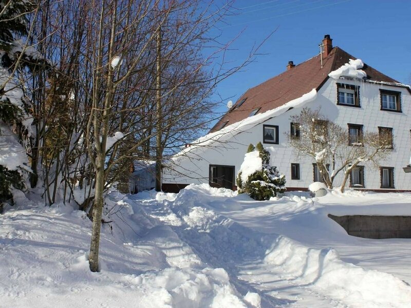 Апартаменты Cosy Apartment With a Great Panoramic View in Lauterbach in the Black Forest