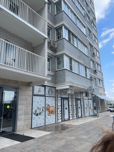 Жаман позициялар