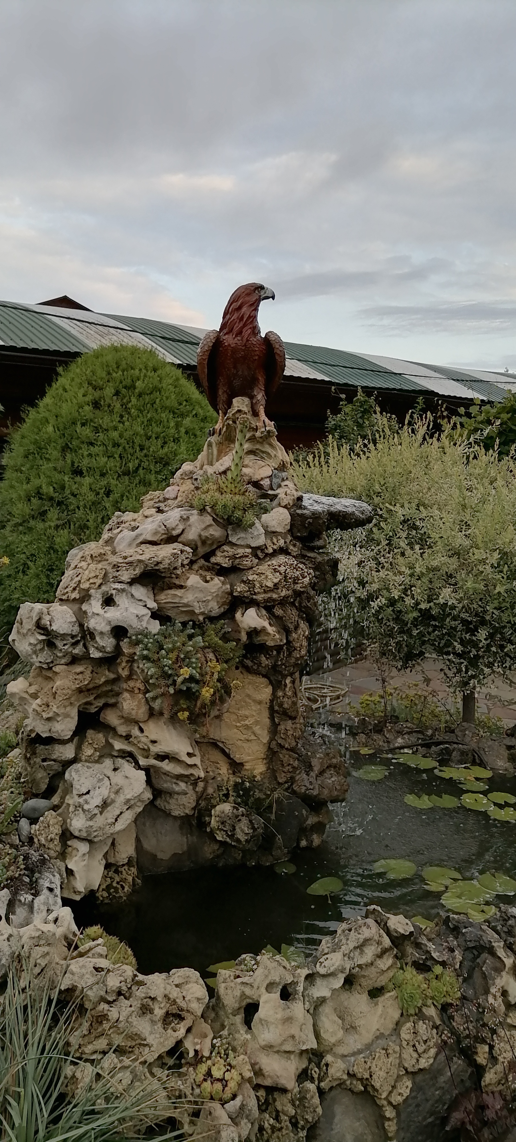 Фото Афалина