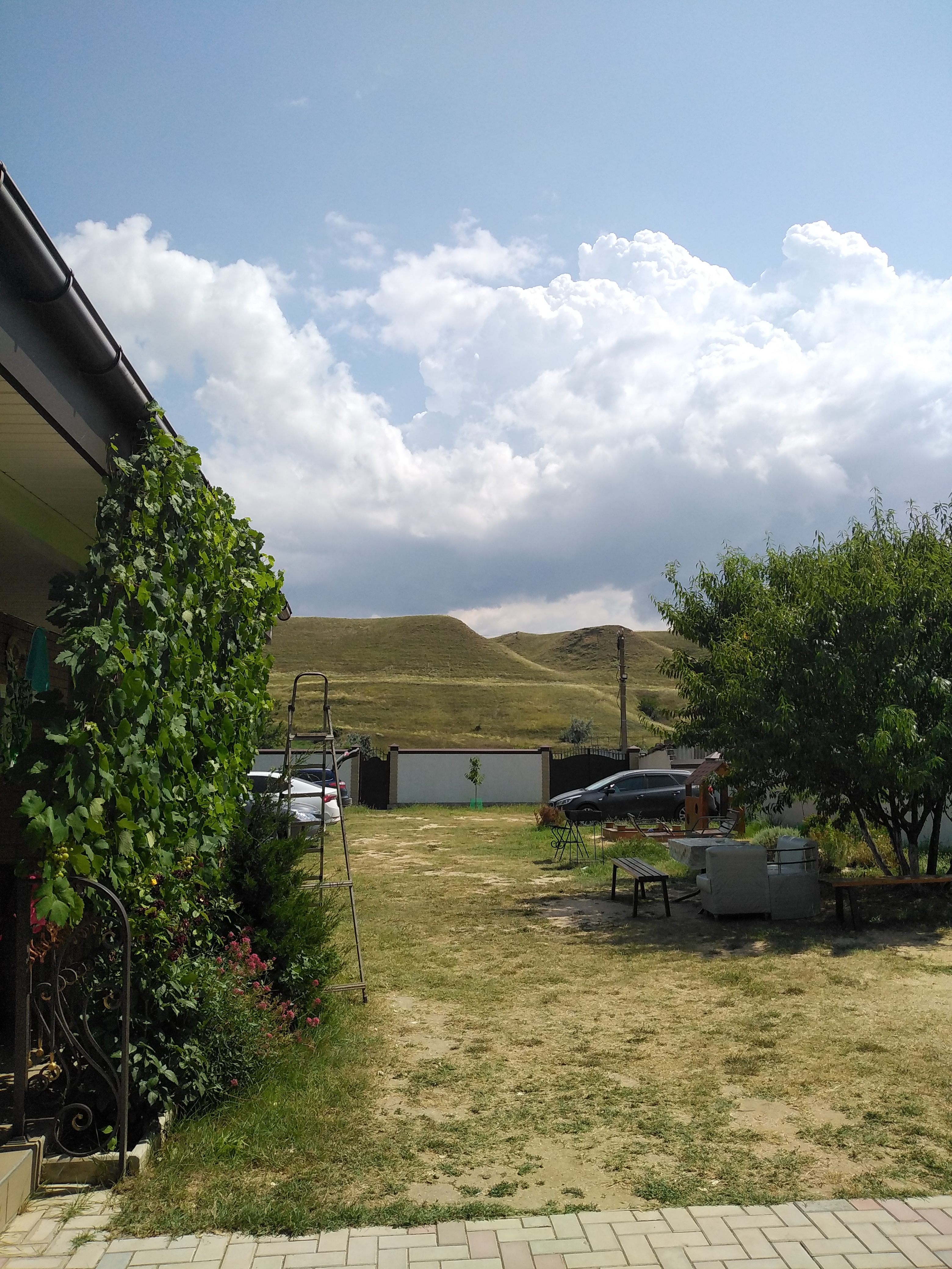 Фото Александрия