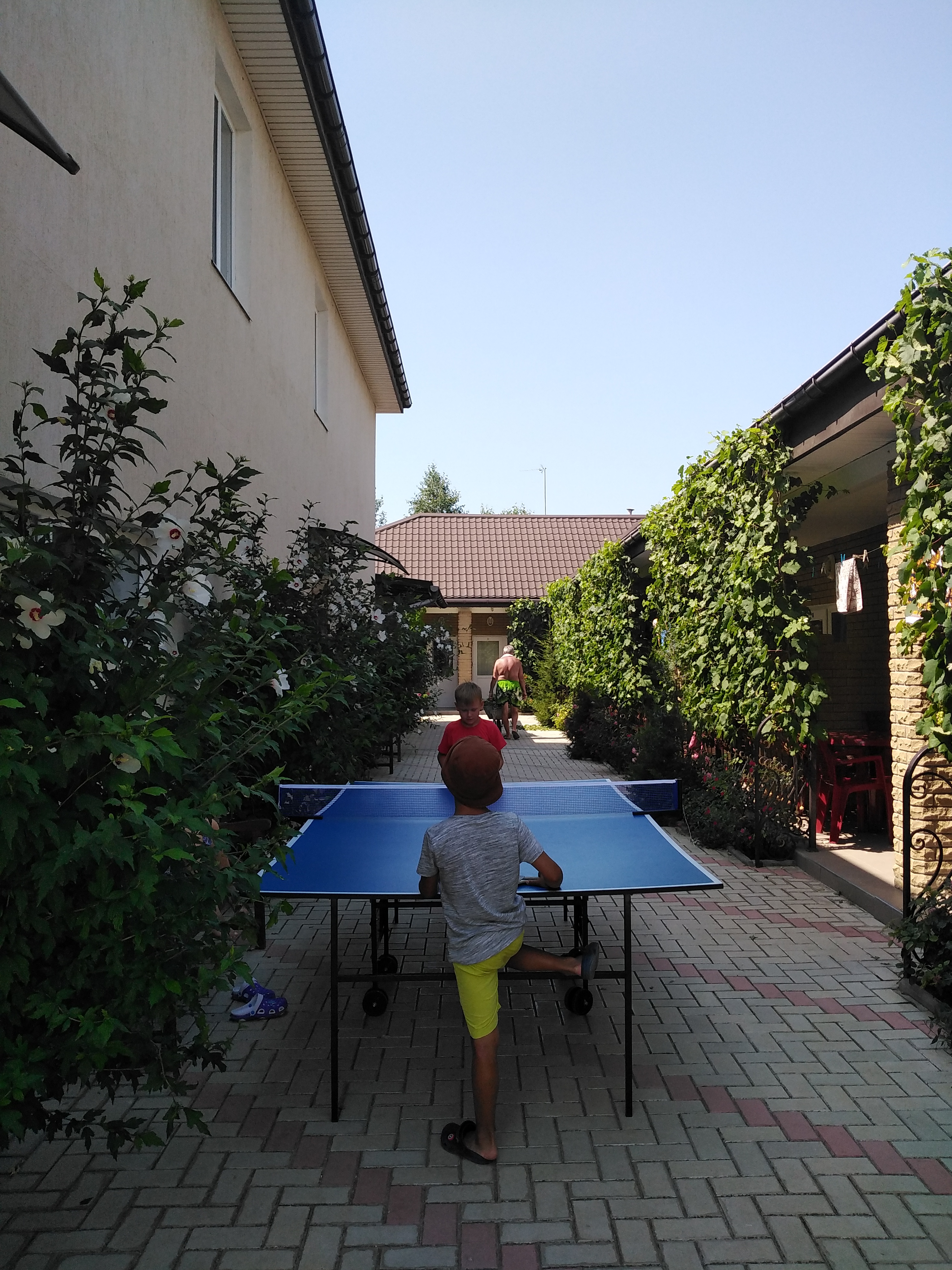 Фото Александрия