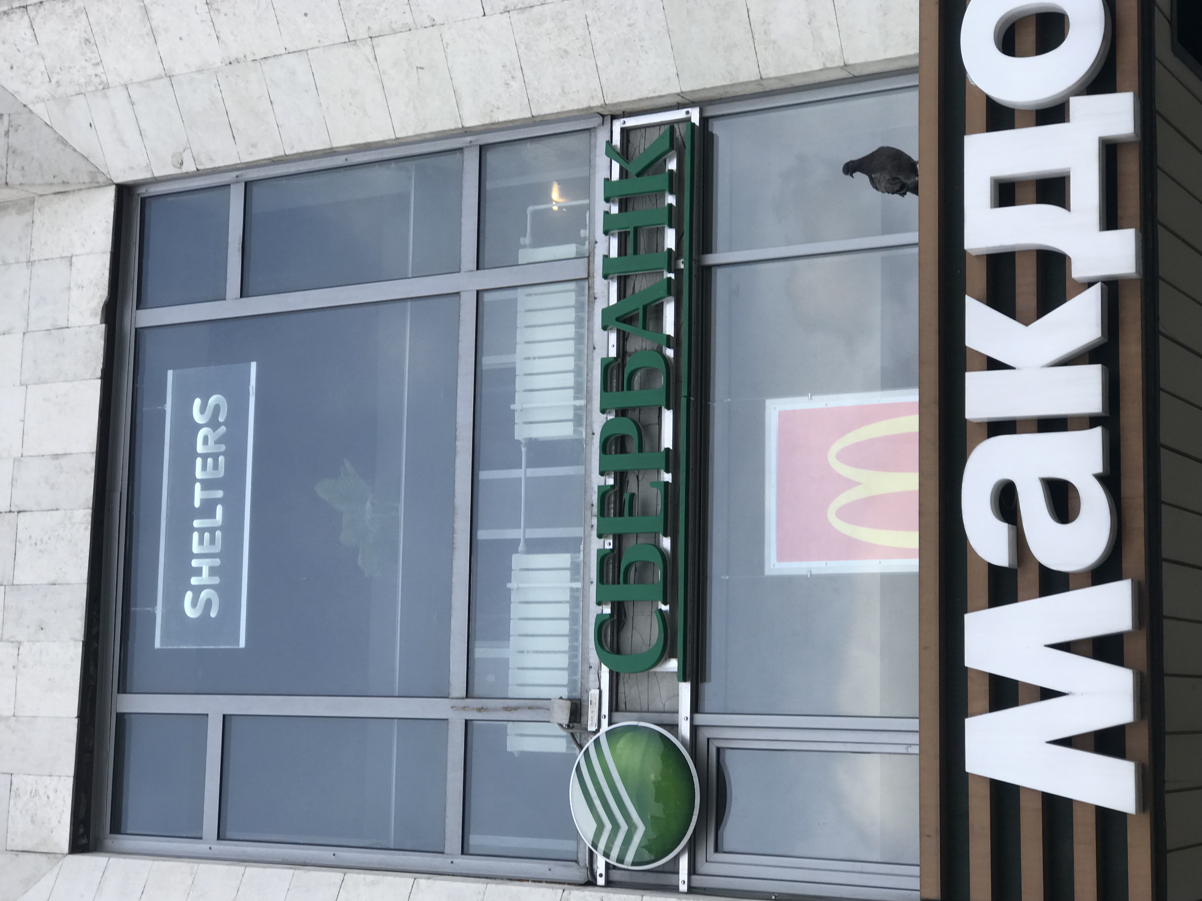 Фото Shelterz Тульская