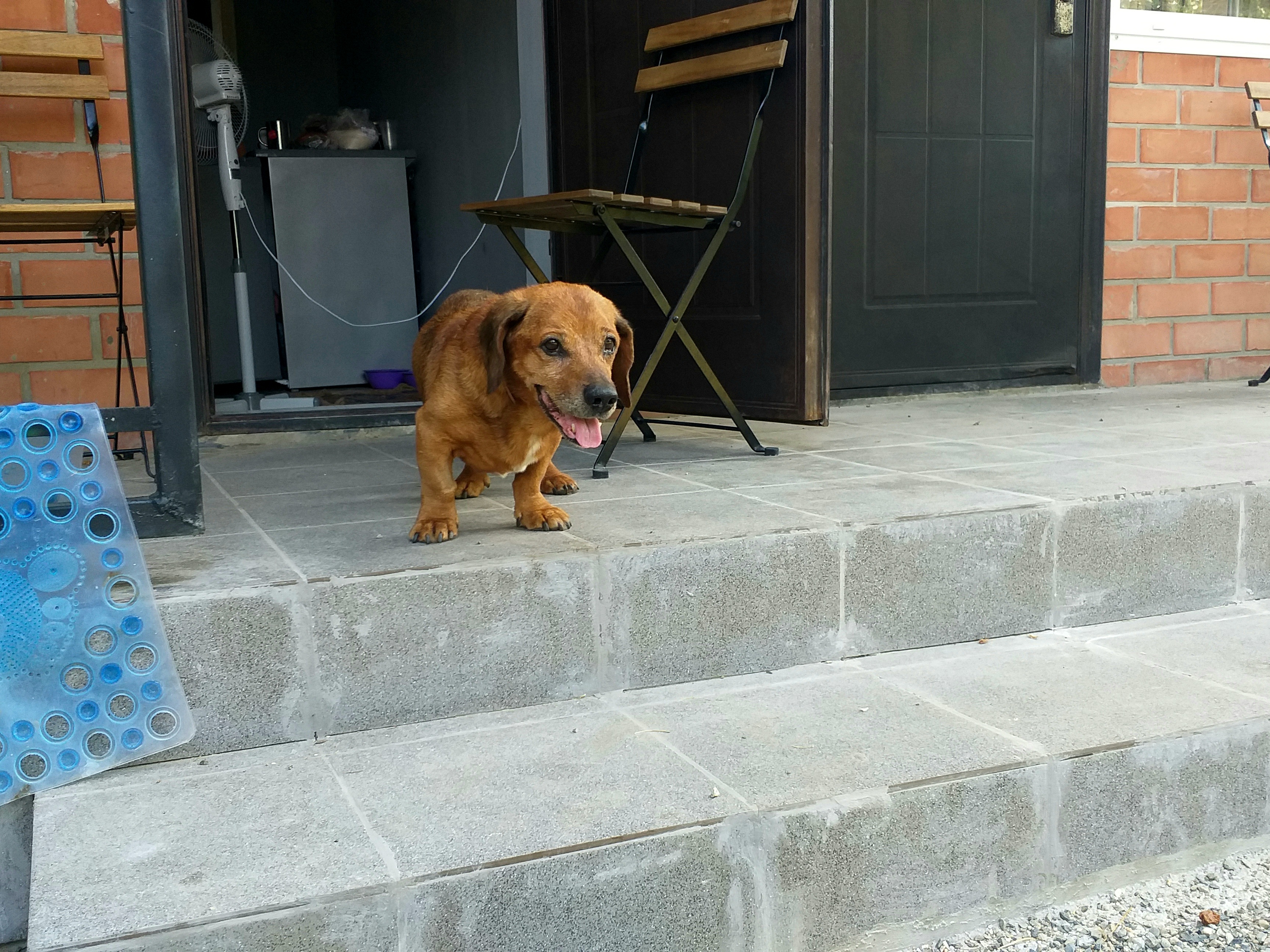 Фото Кондоминиум