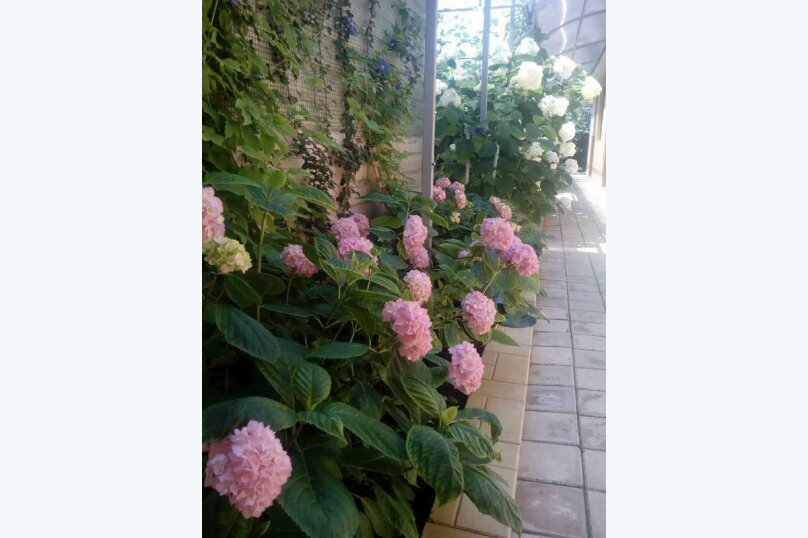 Фото Морское Небо