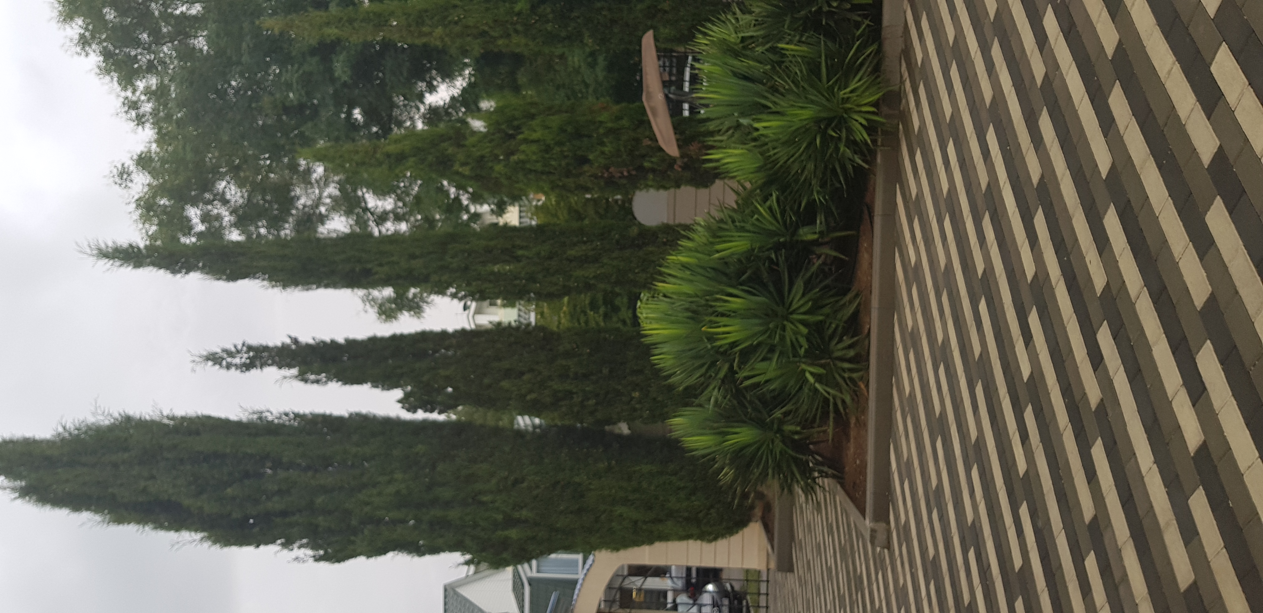 Фото Юлиана