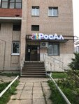 RosAl (Tverskaya Street, 66) ، المشروبات الكحولية
