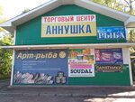Аннушка (Vologda, 1-y mikrorayon GPZ-23, 6А), shopping mall