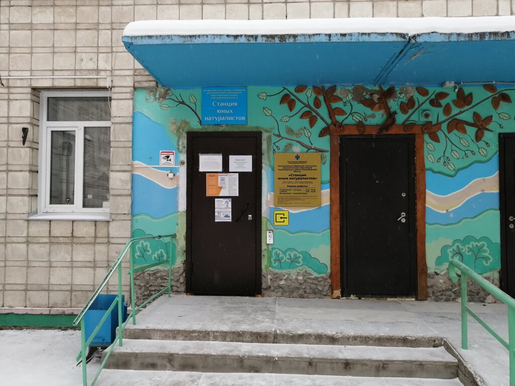 Club for children and teenagers Mku Do Nsr Nso Stantsiya yunykh naturalistov, Novosibirsk Oblast, photo