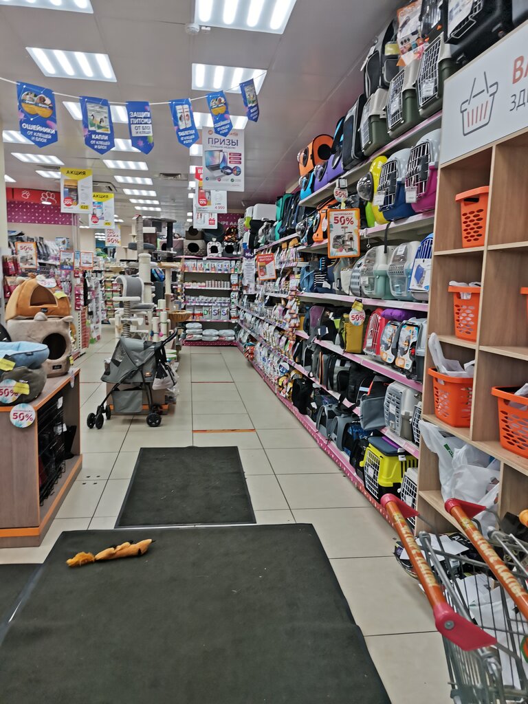Pet shop Chetyre Lapy, Moscow, photo
