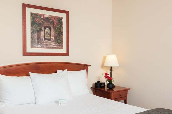 Фото Mediterranean Inn