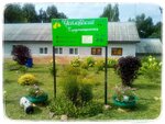 Чкаловский плодопитомник (Nizhniy Novgorod Region, gorodskoy okrug Chkalovsk, Mishnevo Village), plant nursery