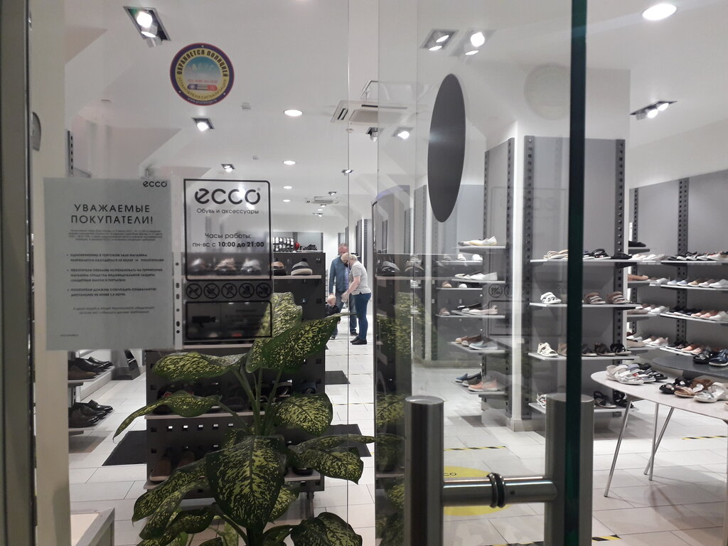 ecco 31
