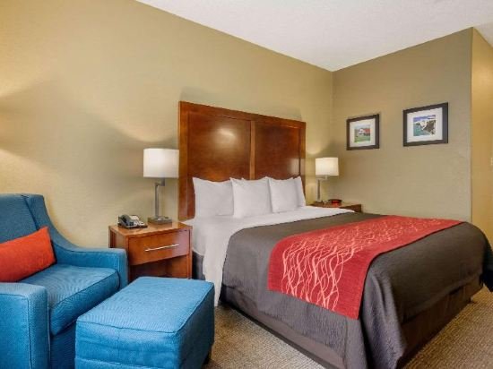 Фото Comfort Inn Dfw Airport North