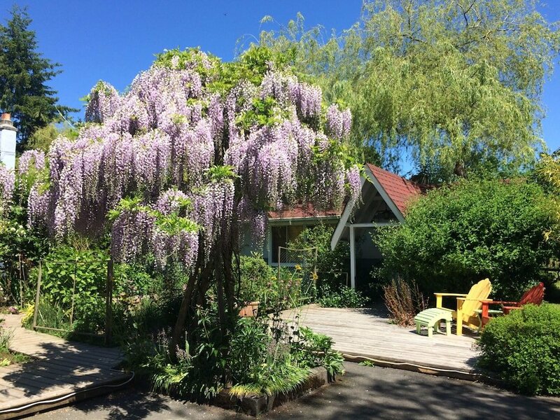 Гостиница Wisteria Guest House