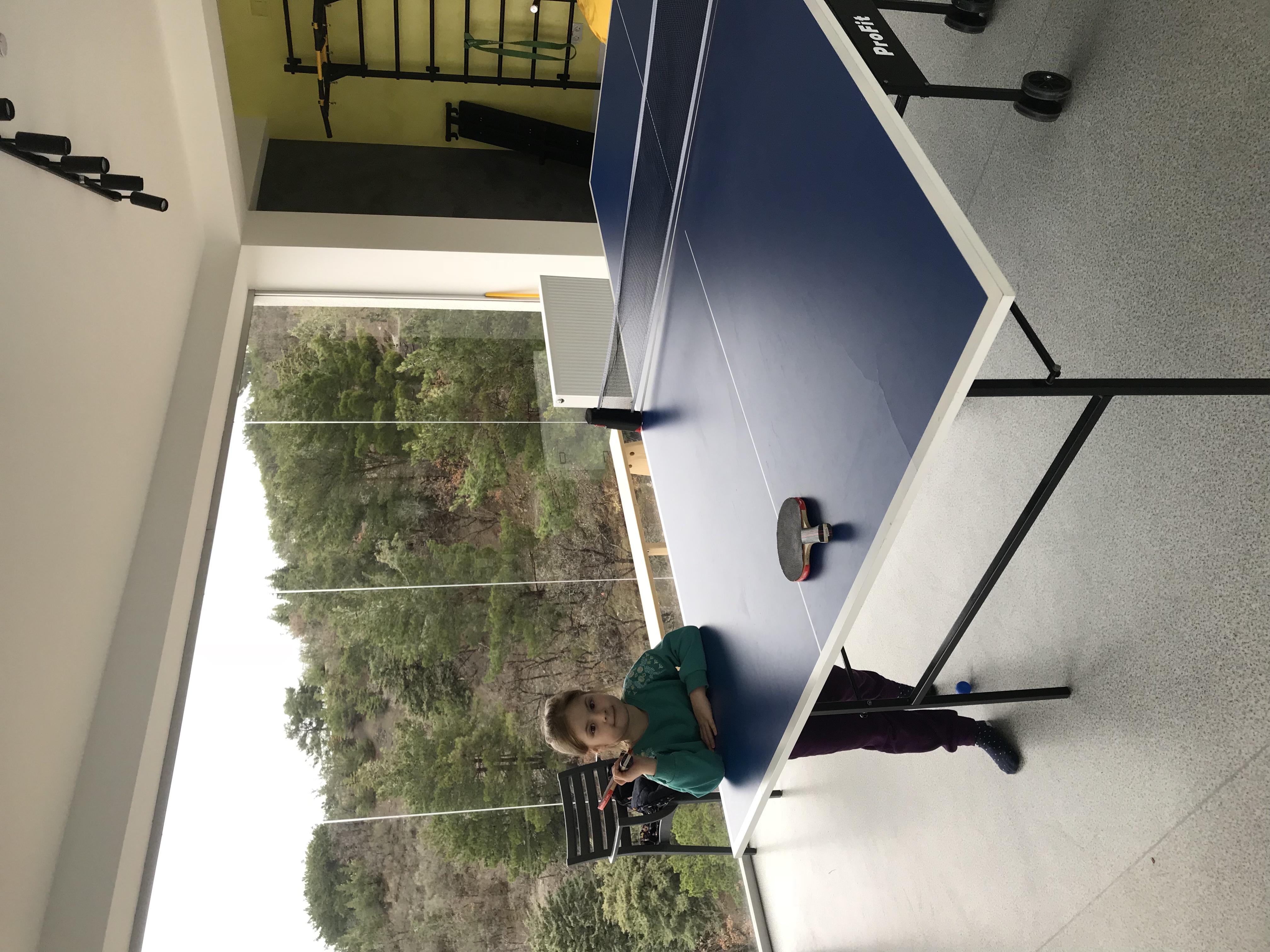 Фото Крымский гость